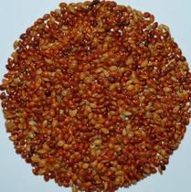 Painço Vermelho - 1 Kg Painço Vermelho - 1 Kg