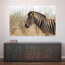 Painel Adesivo de Parede - Animais - Zebra - 1150png