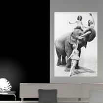 Painel Adesivo de Parede - Garotas e Elefante - 168pnp - Allodi