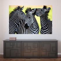 Painel Adesivo de Parede - Zebras - Animais - 1669pnm - Allodi