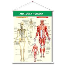 Painel Banner Anatomia Humana de Lona Gigante - 120 x 100 cm Painel Banner Anatomia Humana de Lona Gigante - 120 x 100 cm