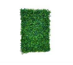 Painel Com Plantas Para Jardim Vertical