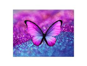 Painel de Festa Horizontal 1,55 X 1,20 - Borboleta Efeito Glitter Azul e Rosa 001