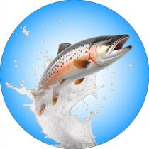 Painel De Festa Redondo 1,50x1,50 - Pescaria Peixe Saltando 005 Painel De Festa Redondo 1,50x1,50 - Pescaria Peixe Saltando 005