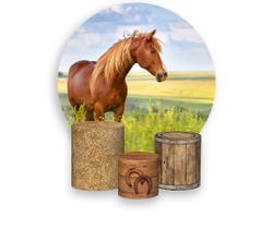 Painel De Festa Redondo 1,50x1,50 + Trio De Capas Cilindro - Cavalo no Pasto 001