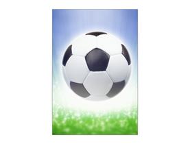 Painel De Festa Vertical 1,50 x 2,20 - Bola de Futebol no Campo 008