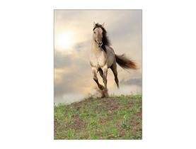 Painel De Festa Vertical 1,50 x 2,20, Cavalo Tons de Bege 054
