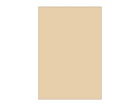 Painel De Festa Vertical 1,50 x 2,20 - Cor Liso Bege 085