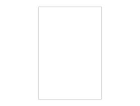 Painel De Festa Vertical 1,50 x 2,20 - Cores Liso Branco 031
