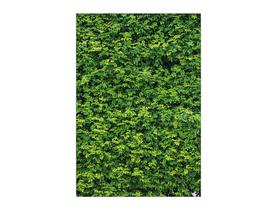 Painel De Festa Vertical 1,50 x 2,20 - Efeito Muro Inglês 002 Painel De Festa Vertical 1,50 x 2,20 - Efeito Muro Inglês 002