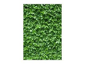 Painel De Festa Vertical 1,50 x 2,20 - Efeito Muro Inglês Claro 030