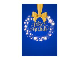 Painel De Festa Vertical 1,50 x 2,20 - Natal Azul Efeito Glitter Dourado 036