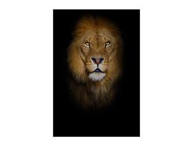 Painel De Festa Vertical 1,50 x 2,20 - Religioso Leão Realista 024 Painel De Festa Vertical 1,50 x 2,20 - Religioso Leão Realista 024