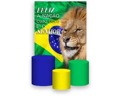 Painel De Festa Vertical 1,50 x 2,20 + Trio De Capas Cilindro - Evangélico Leão Independência do Brasil 048