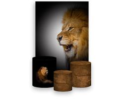 Painel De Festa Vertical 1,50 x 2,20 + Trio De Capas Cilindro - Religioso Leão Fé 027