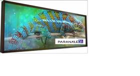 Painel de led outdoor p5 2x1 alta qualidade Painel de led outdoor p5 2x1 alta qualidade