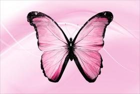 Painel de Lona Borboleta Fundo Rosa