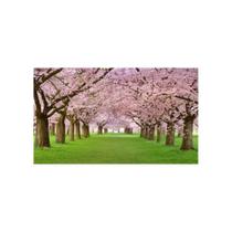 Painel de Lona Caminho Verde Florido 3D