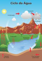 Painel De Lona Escolar Ciclo da Água - 100x070cm Painel De Lona Escolar Ciclo da Água - 100x070cm