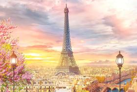 Painel de Lona Paris Cidade Luz e Flores