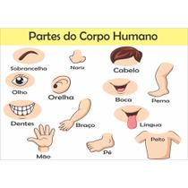 Painel de Lona Partes Do Corpo Humano -100x070cm