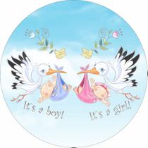 Painel de Lona Redondo Chá de Revelação Boy or Girl Cegonhas