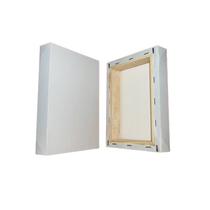 Painel de Pintura 20x30 Pacote Com 2 Unidade Painel de Pintura 20x30 Pacote Com 2 Unidade