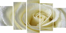 Painel De Quadro Mosaico 5 Partes Pa Sala,quarto Rosa Branca Painel De Quadro Mosaico 5 Partes Pa Sala,quarto Rosa Branca