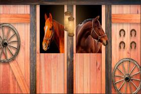 Painel de Tecido Sublimado Cavalo Estábulo Iluminado Painel de Tecido Sublimado Cavalo Estábulo Iluminado