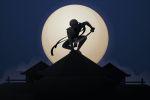 Painel de Tecido Sublimado Ninja Ataque Noturno Lua