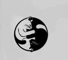 Painel decorativo yin yang gatos mdf preto 59cm - Usimade Decor