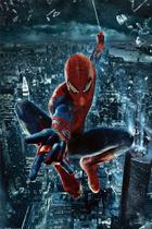 Painel Festa Retangular Para Casado 1,5x2,2m Homem Aranha 4