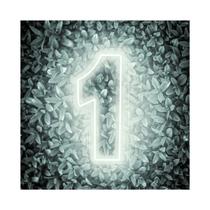 Painel Led Neon Número 1 Decoração Festa Iluminação 50cm