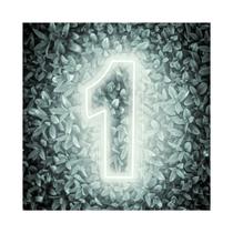 Painel Led Neon Número 1 Decoração Festa Iluminação 50cm