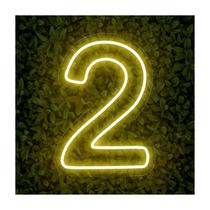 Painel Led Neon Número Luminoso 0 ao 9 Decoração Festa 60cm