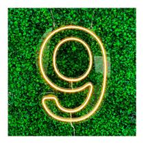 Painel Led Neon Número Luminoso 0 ao 9 Decoração Festa 60cm Painel Led Neon Número Luminoso 0 ao 9 Decoração Festa 60cm