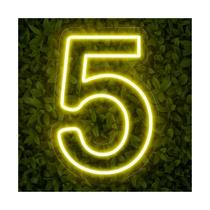 Painel Led Neon Número Luminoso 5 Cinco 60cm Decoração Festa