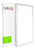 Painel Led Plafon Sobrepor 36W 30 X 60Cm Retangular Frio