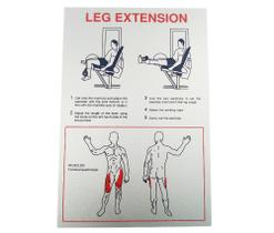 Painel Leg Extension Technogym - Prata - Cód 902