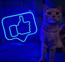 Painel Neon Joinha Facebook Azul 35cm Com Controle! - By Hands Decor