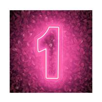 Painel Neon Numero 1 Instagram Iluminação rosa 30 Cm