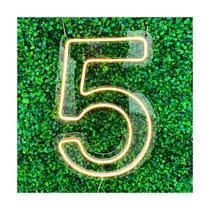 Painel Neon Numero Cinco 5 Instagram Iluminação Branco 50cm