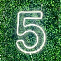 Painel Neon Numero Cinco 5 Instagram Iluminação Branco 50cm Painel Neon Numero Cinco 5 Instagram Iluminação Branco 50cm