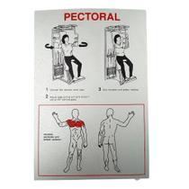 Painel Pectoral Technogym - Prata - Cód 892