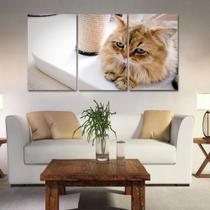 Painel quadros mosaico cachorros e gatos(pet) med. 105x65 ps 2mm adesivo fosco borda infinita