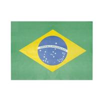 Painel TNT Bandeira Brasil Copa do Mundo 1,40x1,03m - 01 un
