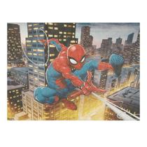 Painel TNT Homem Aranha Prédio 1,40 x 1,03mt - 24