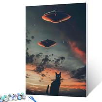 Paint by Numbers Tucocoo UFO Black Cat Tinta acrílica 40x50cm