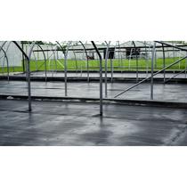 Paisagismo Ground Covers RSI Commercial All Weather 4 pés Paisagismo Ground Covers RSI Commercial All Weather 4 pés