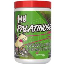 Palatinose 1kg em Pó My Suplementos